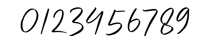 Aulores Regular Font OTHER CHARS
