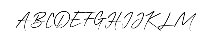 QonitaSignature Font UPPERCASE